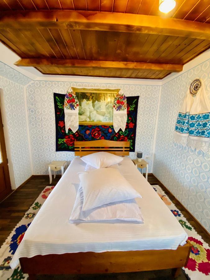 Floare De Maramures 1 Vadu Izei Exterior foto