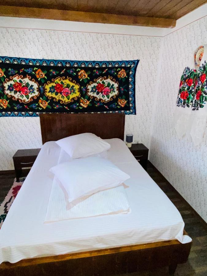 Floare De Maramures 1 Vadu Izei Exterior foto